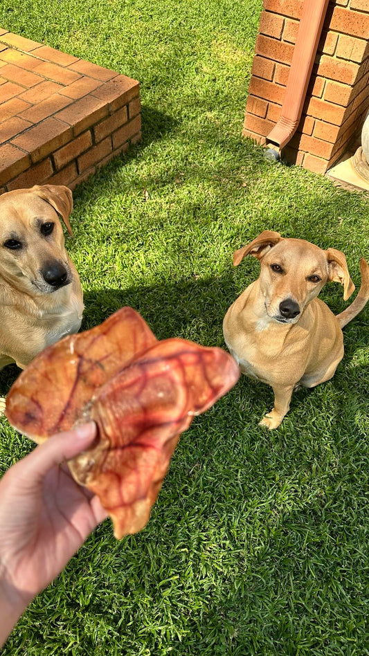 Pig ears