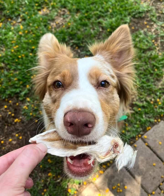 Ear-resistible