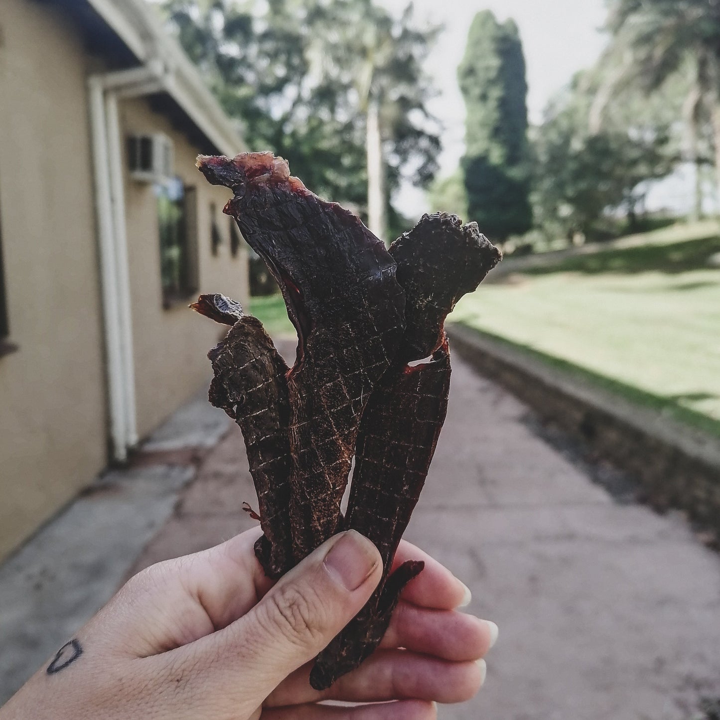 Venison Heart