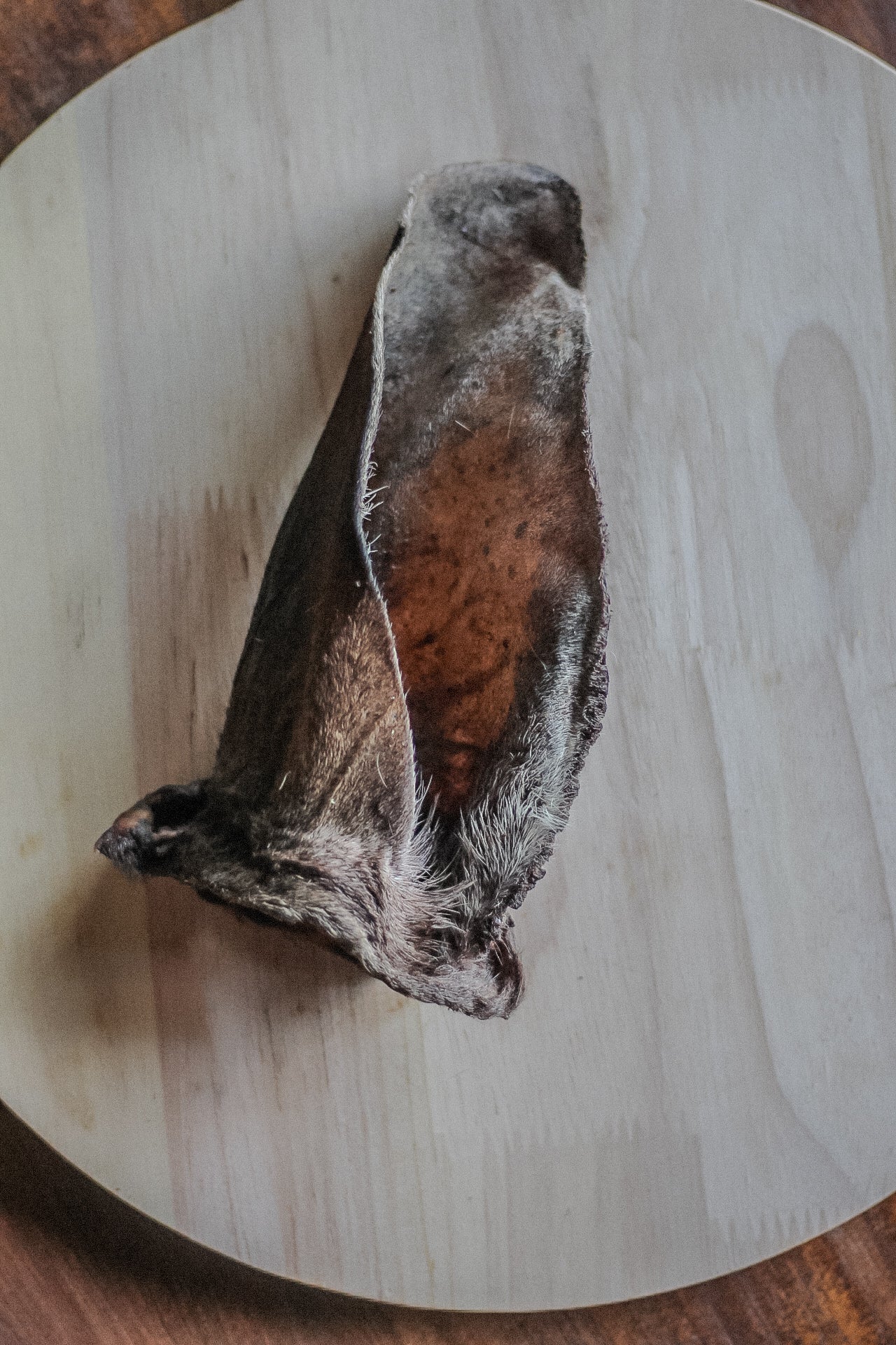 Venison Ears