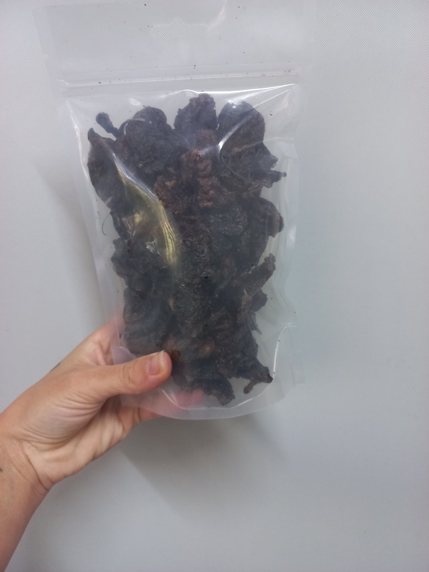 Rabbit lungs